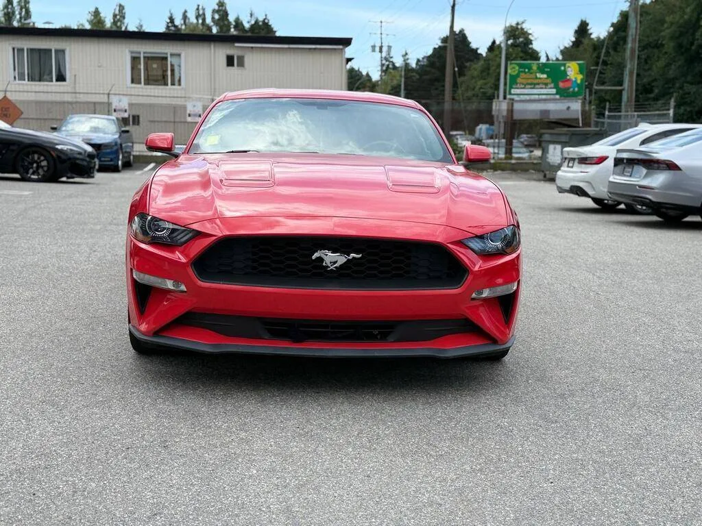 2019 Ford Mustang *LOW PRICE* image indicator(10)