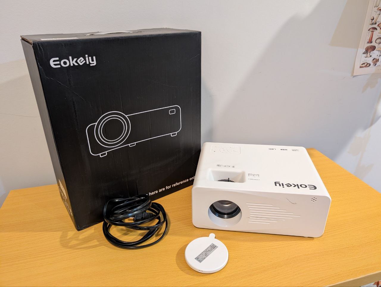 Mini projector with projector screen