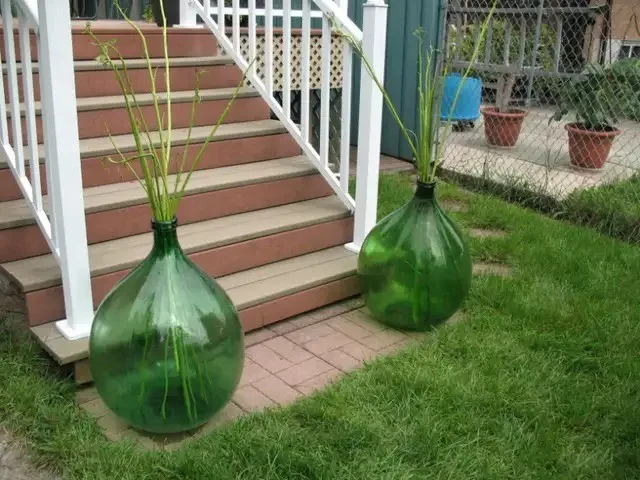Unique Bottle Garden Decor thumbnail