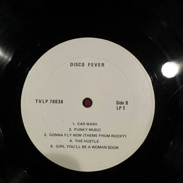 Disco Fever 2 LP Vinyl Record Set – 20 Original Hits image indicator(2)