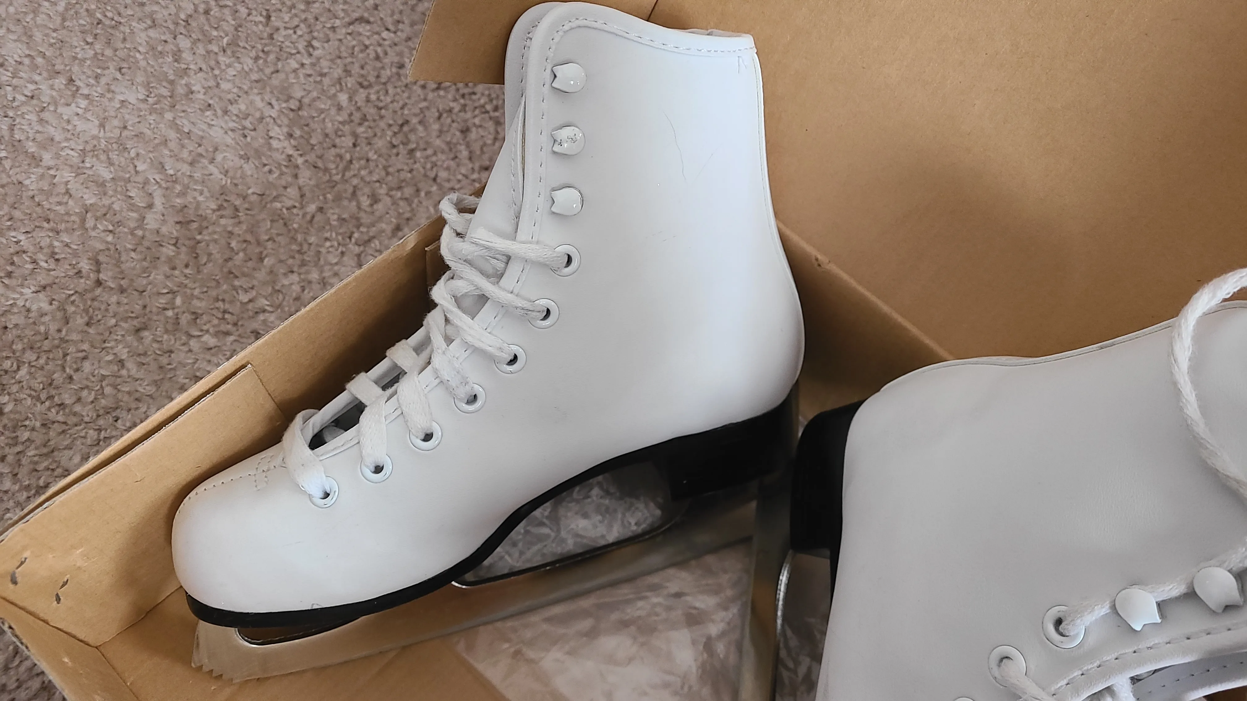 Figure skate (Size: Junior 1) image indicator(5)