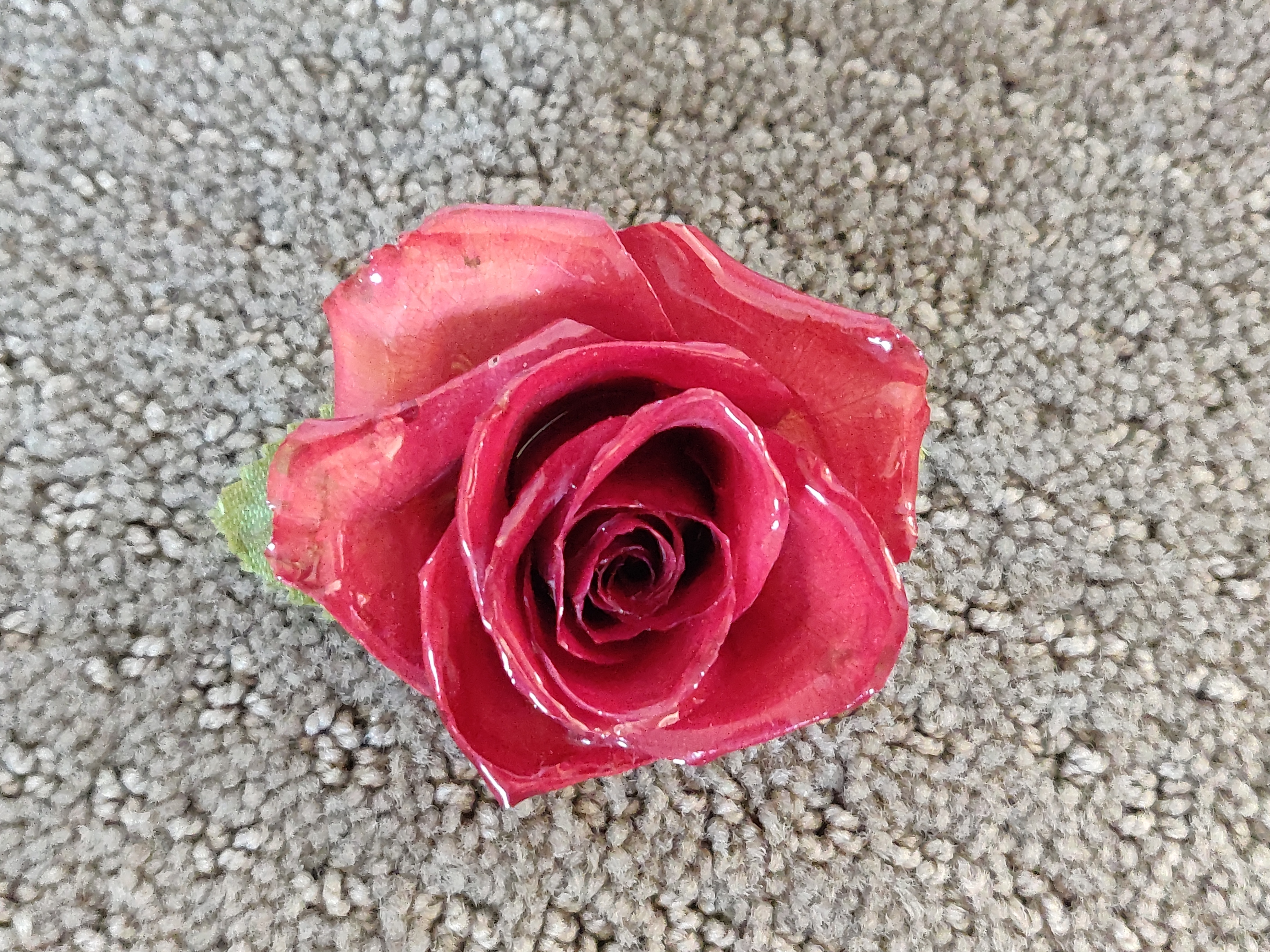 Vintage Natural Preserved Rose Flower Pin Brooch Butchart Garden - photo 3