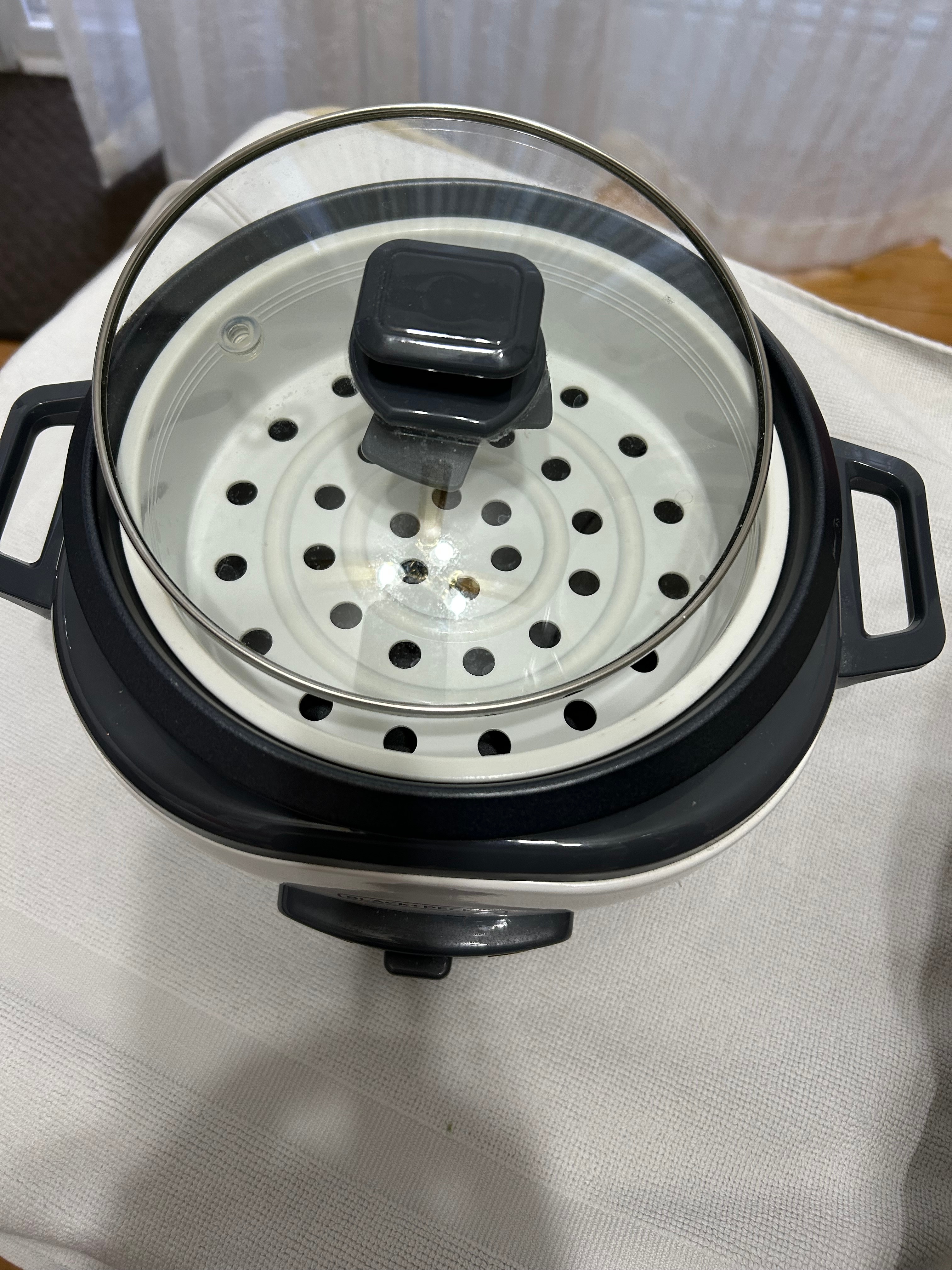 Rice Cooker and steamer (6cups) cooked)