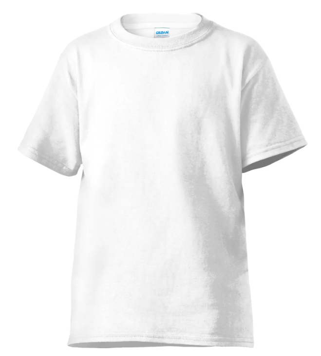 Blank Gilden T-Shirts for Craft - All New