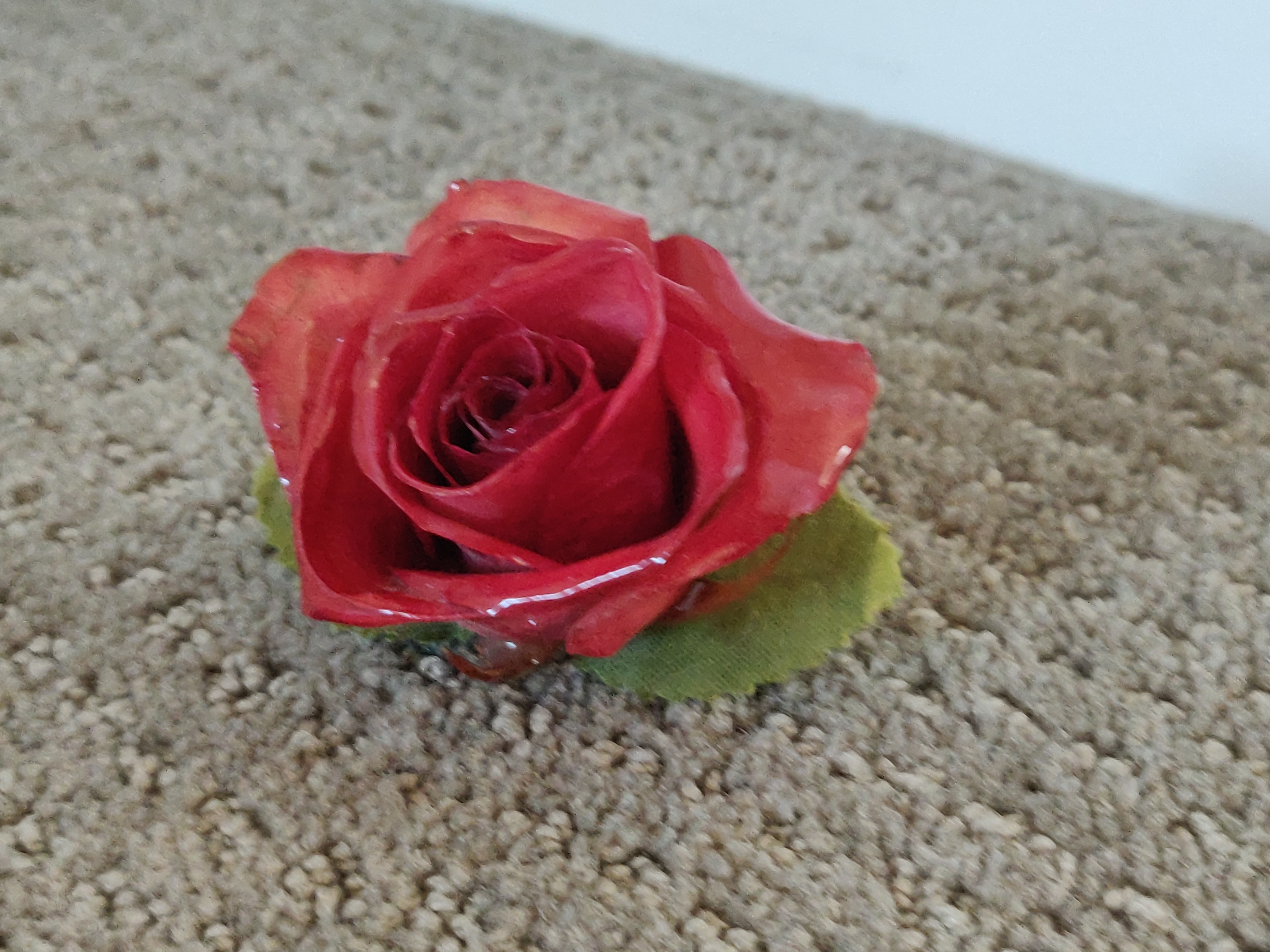 Vintage Natural Preserved Rose Flower Pin Brooch Butchart Garden - photo 2