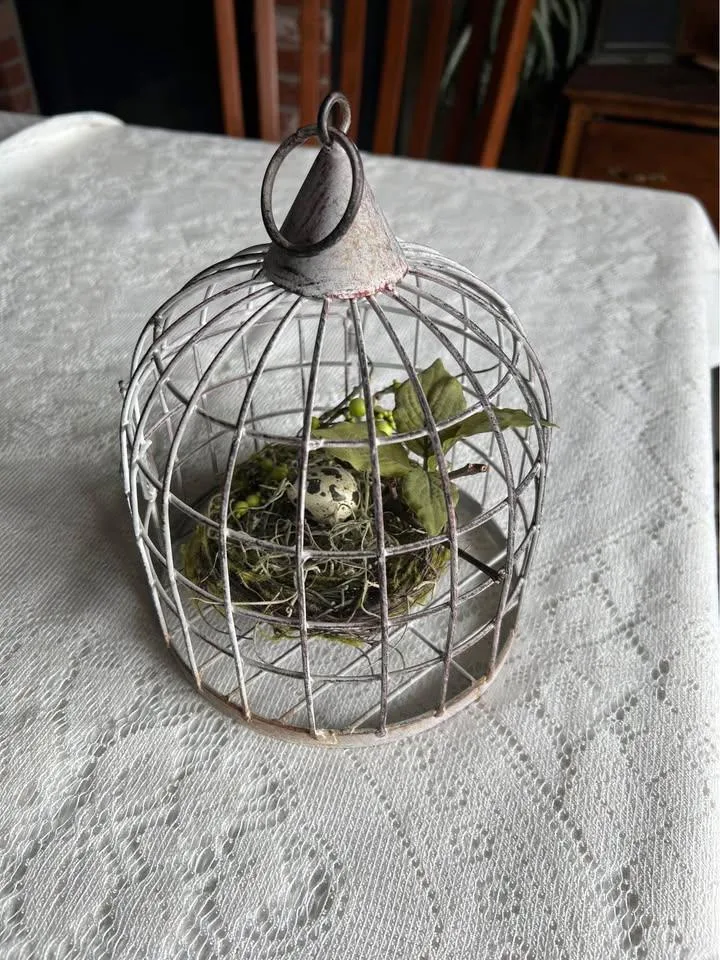 Distressed Metal Bird Cage with Nest and Egg thumbnail