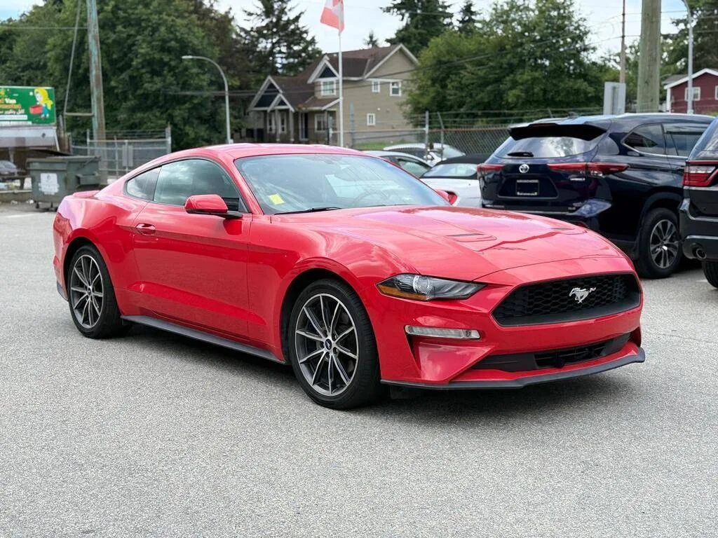 2019 Ford Mustang *LOW PRICE* image indicator(4)