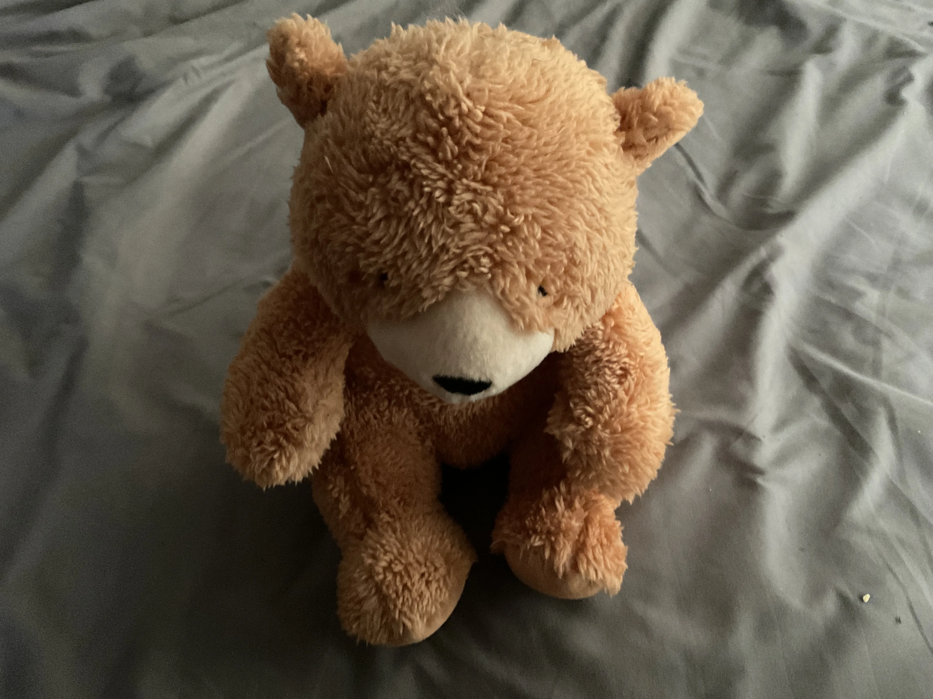 Plush Light Brown Teddy Bear - 10" Cuddly Companion thumbnail