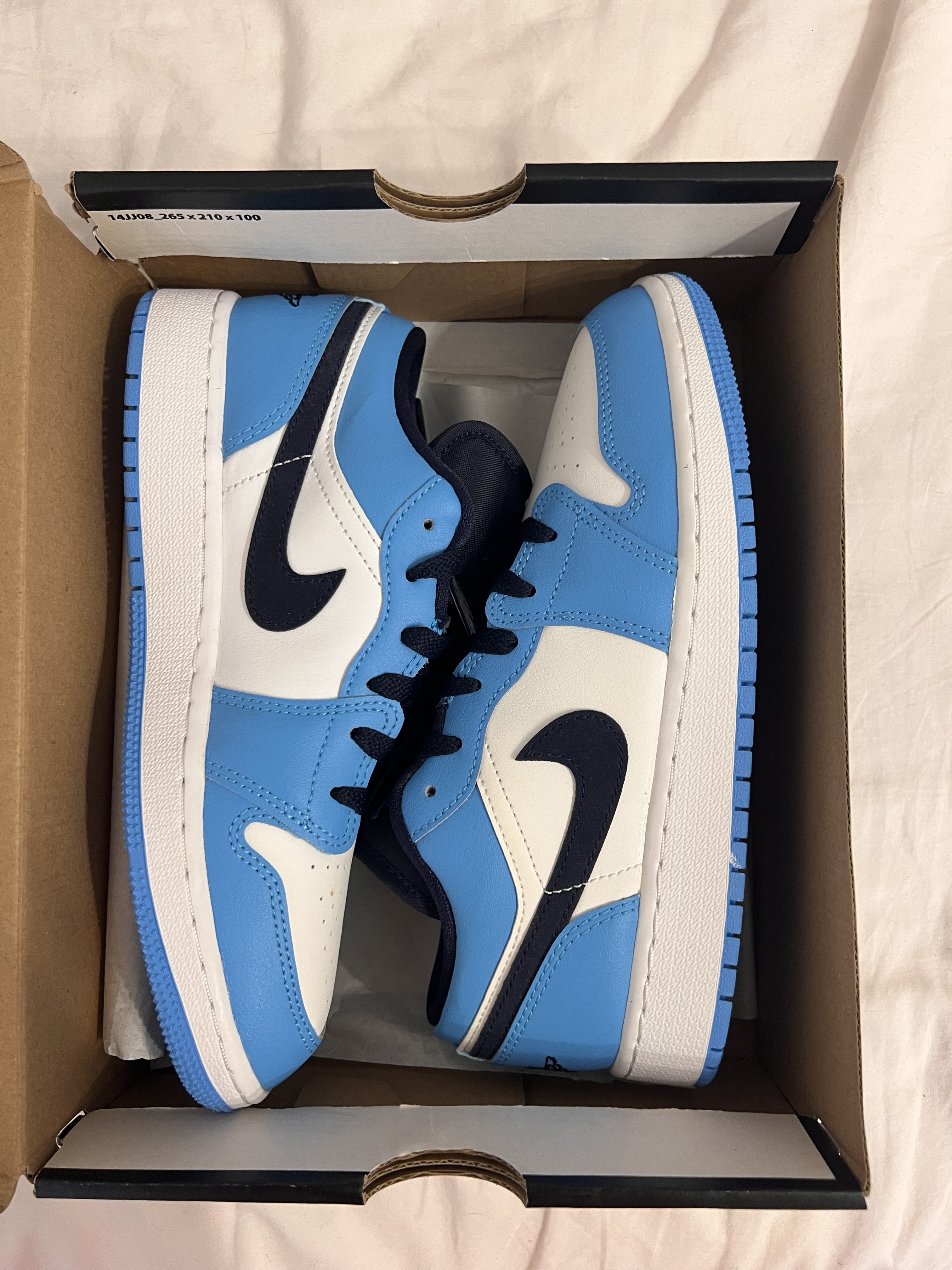 UNC Jordan 1 low