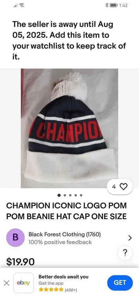Champion pom pom beanie thumbnail