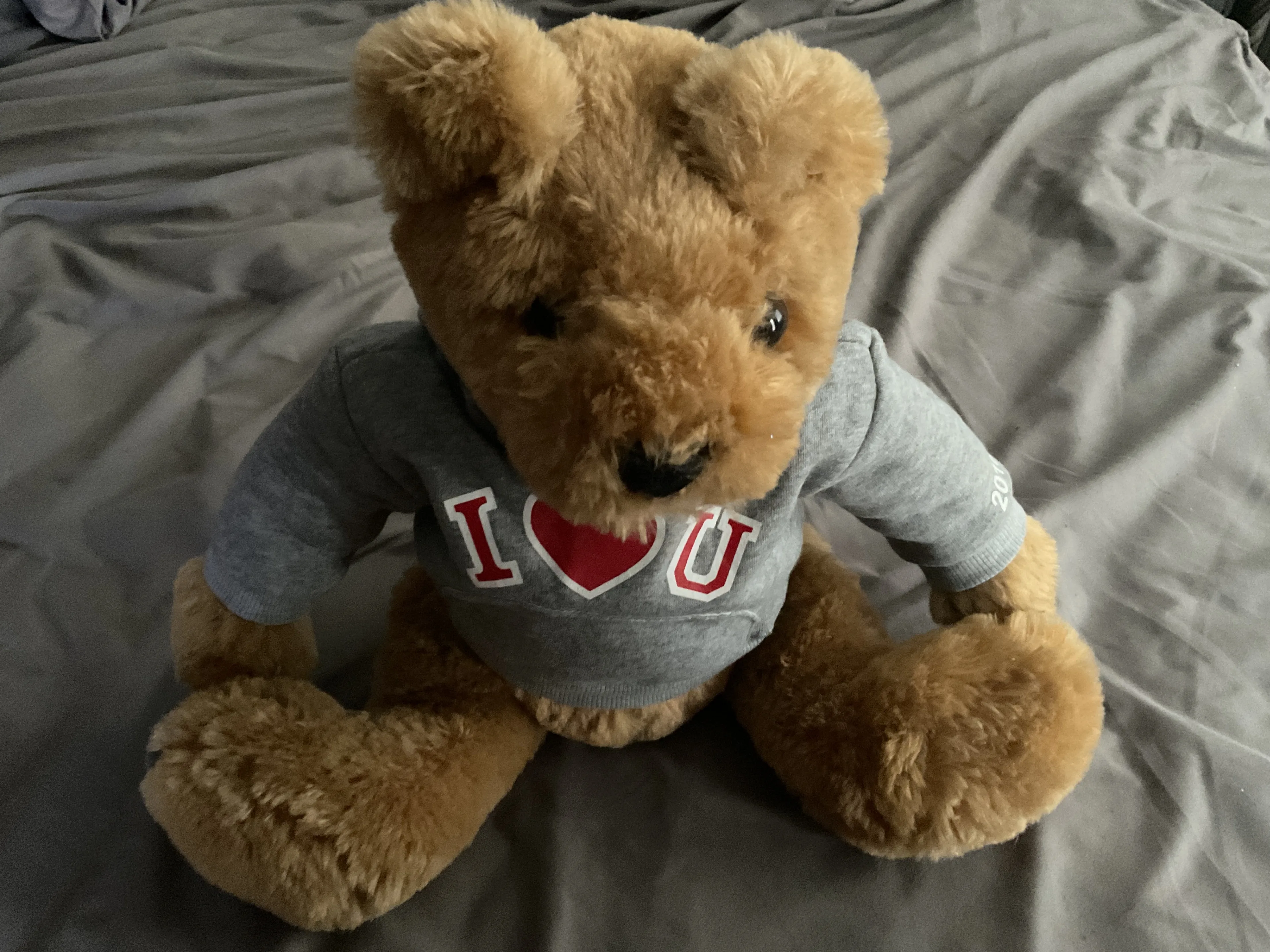 Cozy Light Brown Teddy Bear in Grey "I Love U" Shirt thumbnail