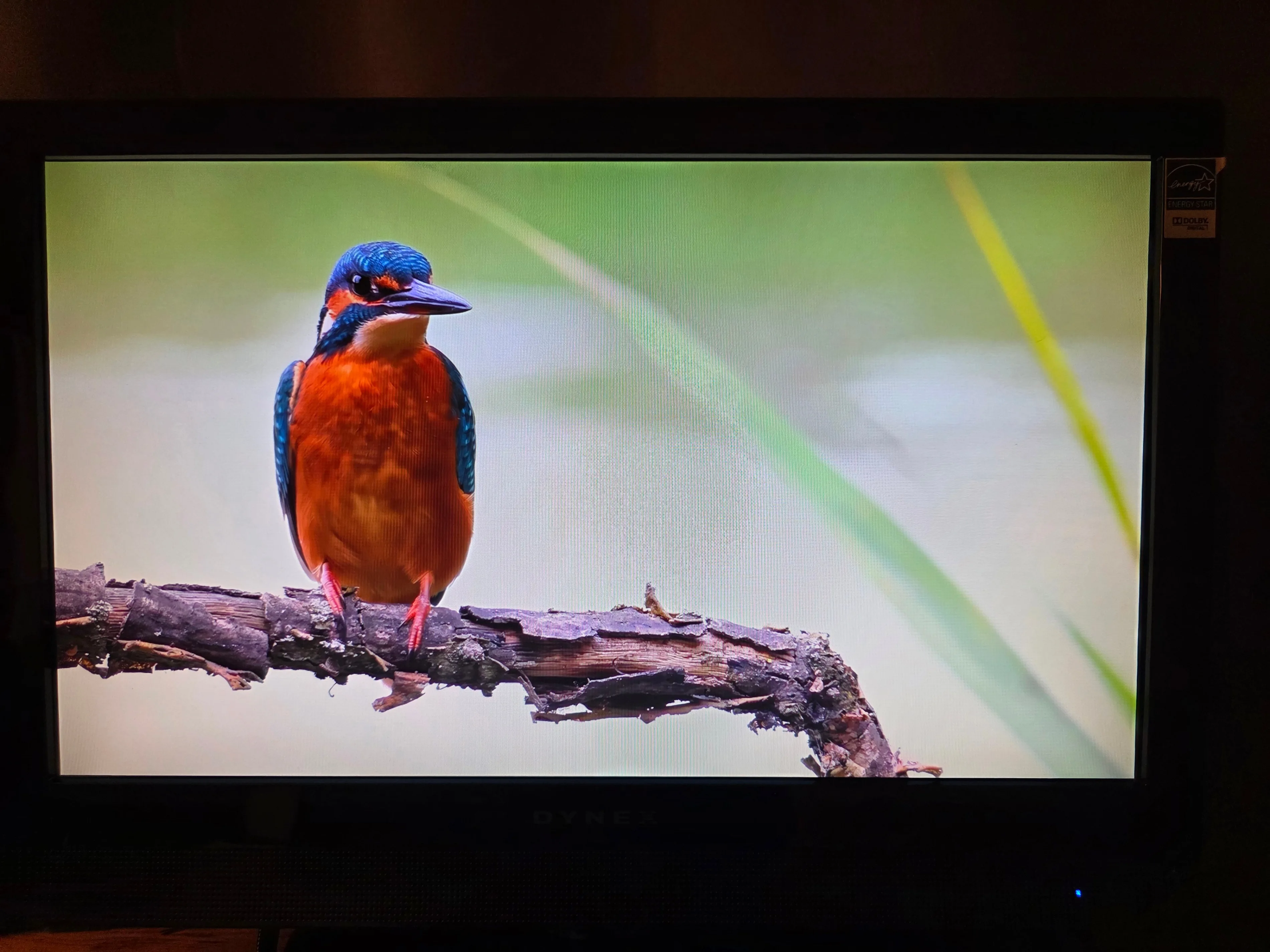 19-inch LCD HDTV thumbnail