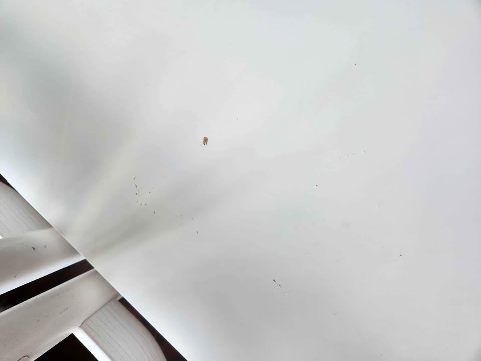 White Table, Dining Table, Office Desk (Ikea) - photo 4