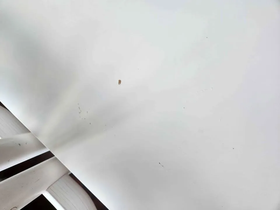 White Table, Dining Table, Office Desk (Ikea) image indicator(4)