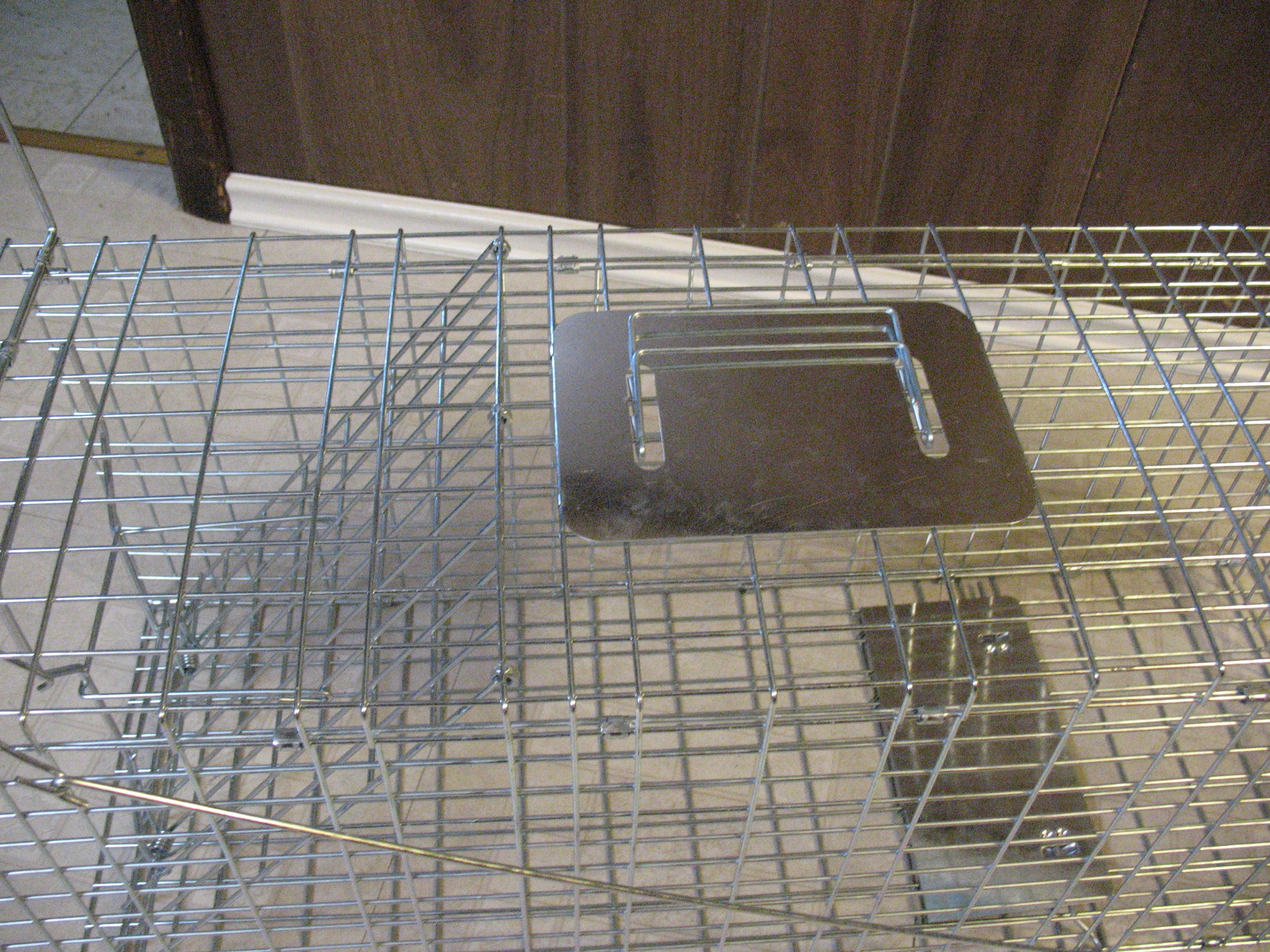 Large Live Animal Cage/Trap, BRAND NEW - photo 3