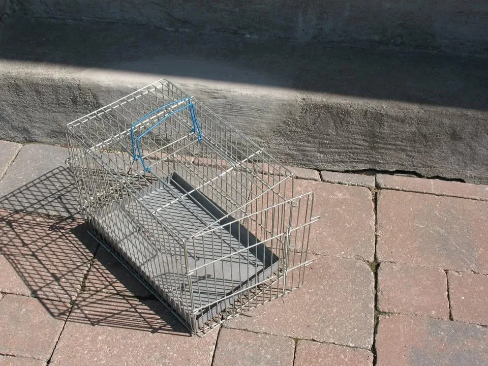 Large Size PET CRATE image indicator(3)