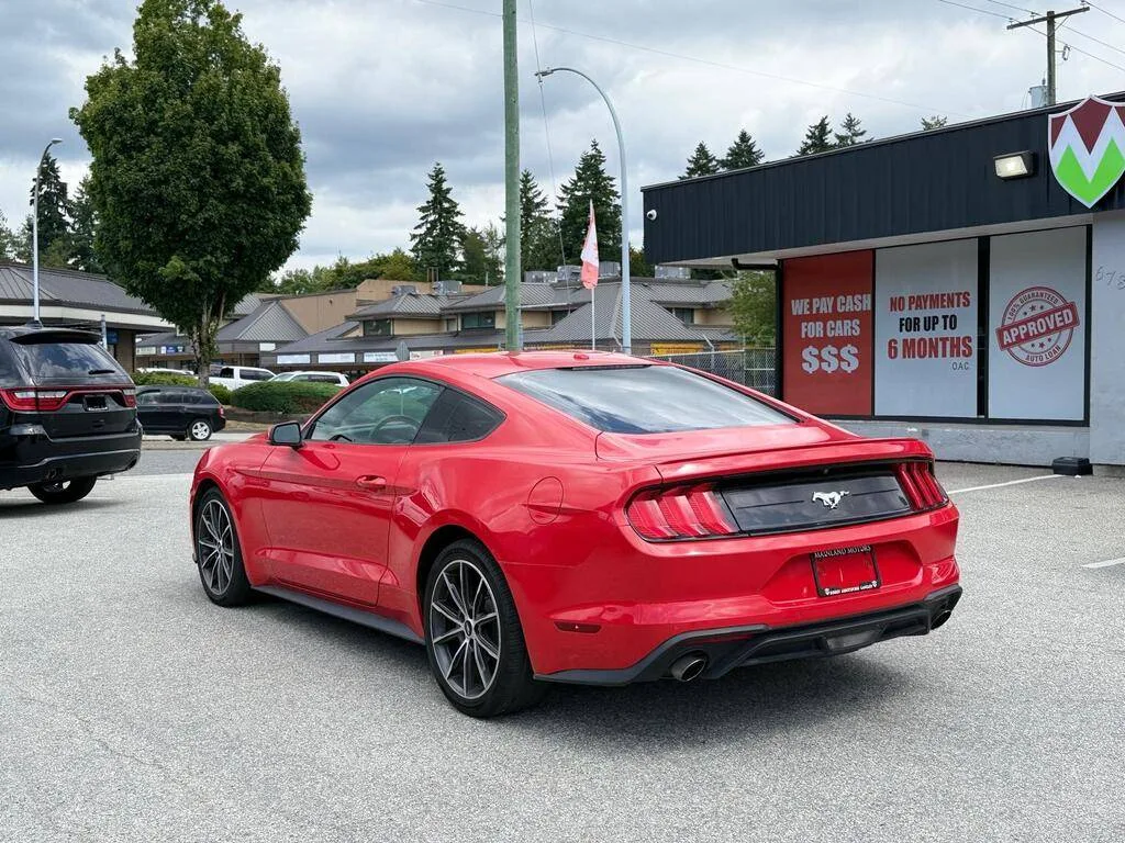 2019 Ford Mustang *LOW PRICE* image indicator(3)