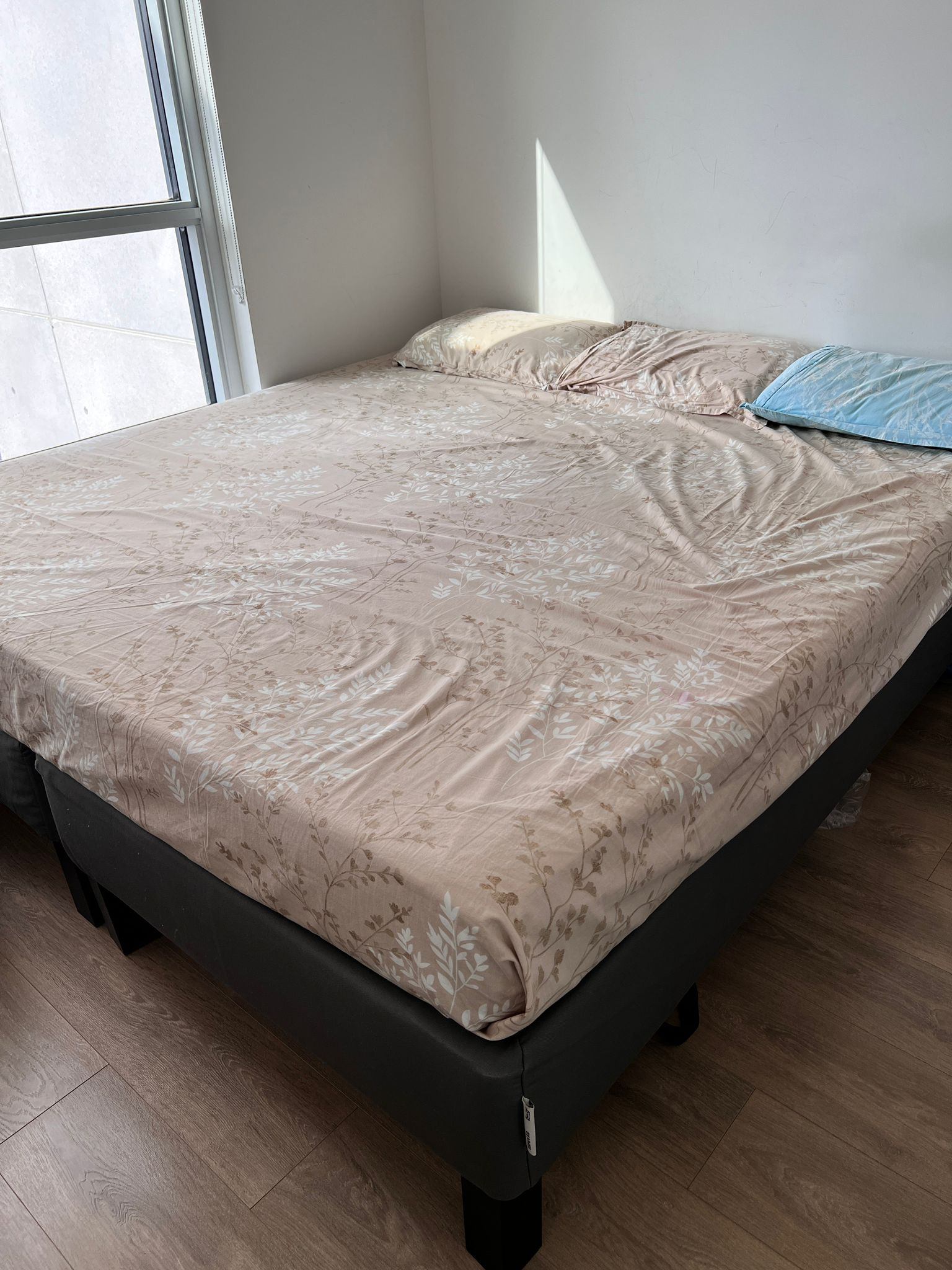 Cot and Mattress