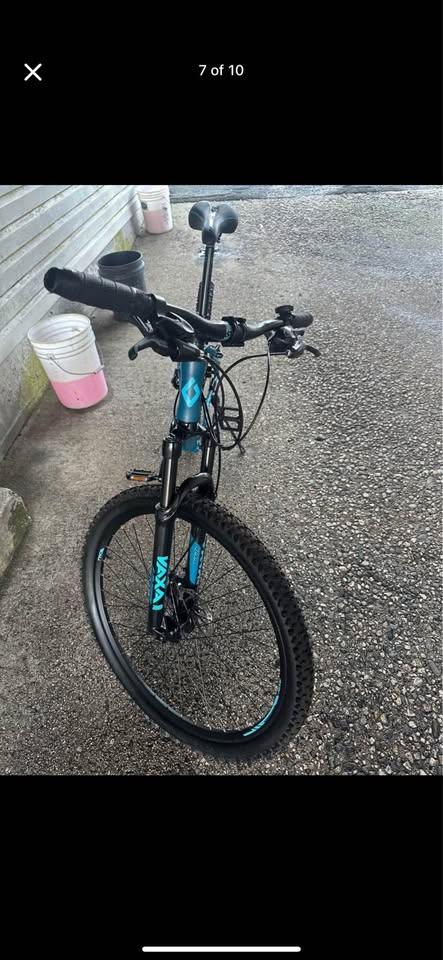 Diamondback Ridgeback - photo 4