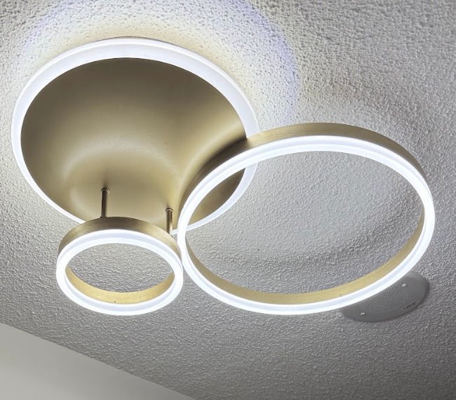 LAST DAY Dimmable Ceiling Light with Remote