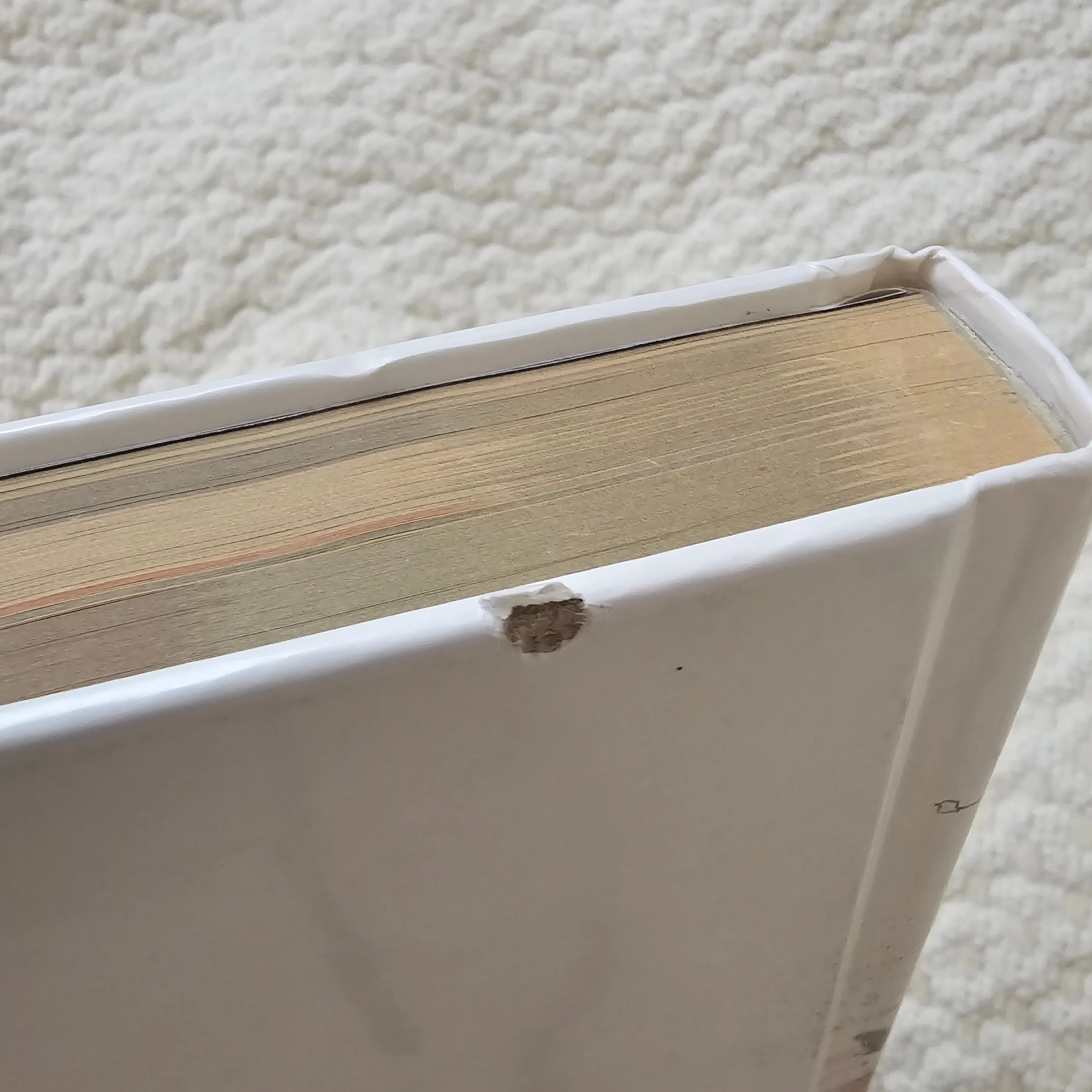 Guild Wars 2 Limited Edition Strategy Guide - Hardcover image indicator(4)