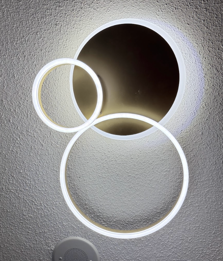 LAST DAY Dimmable Ceiling Light with Remote - photo 2