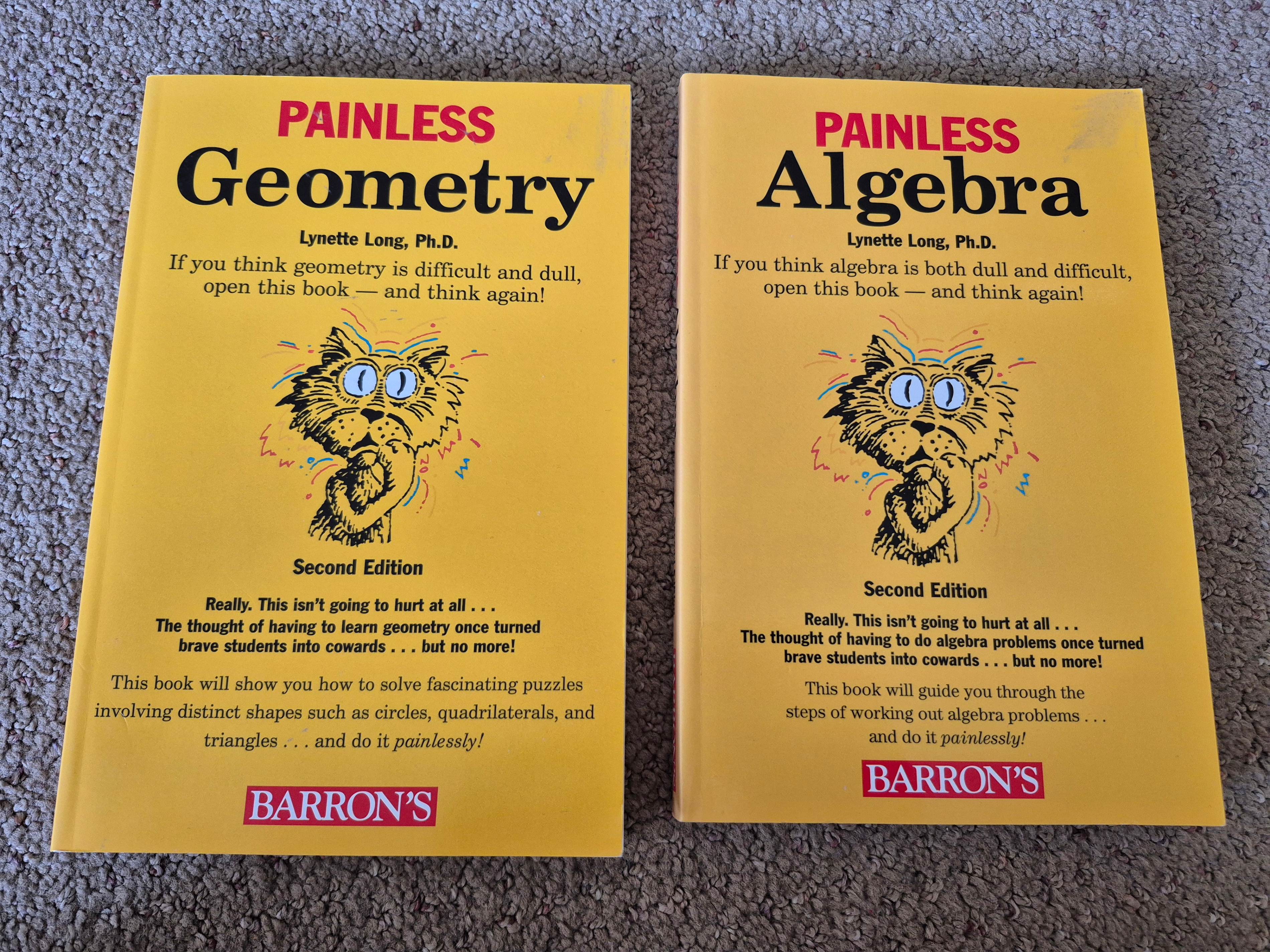 Math - Painless Geometry & Algebra