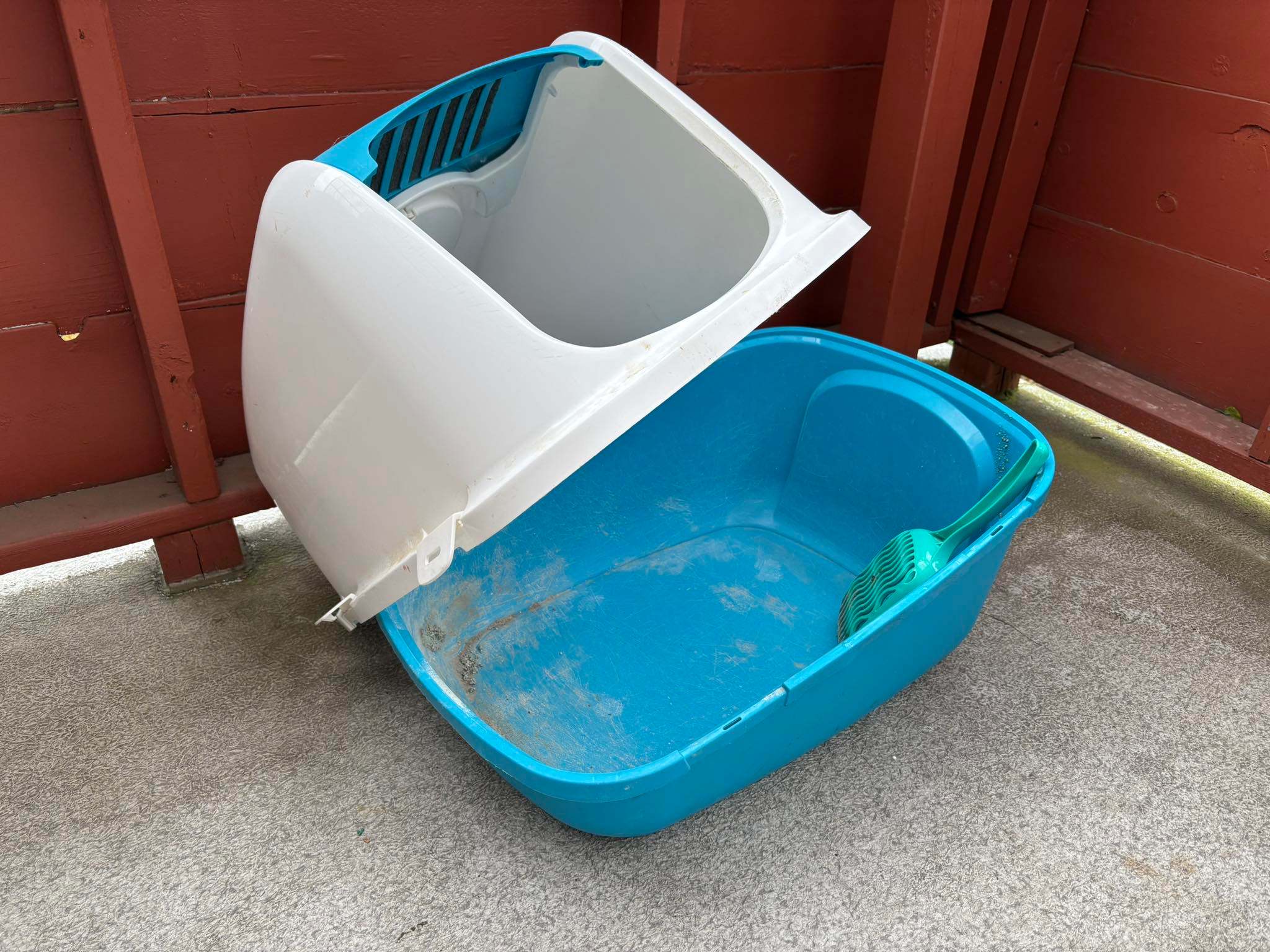 Cat Litter Box 🥕