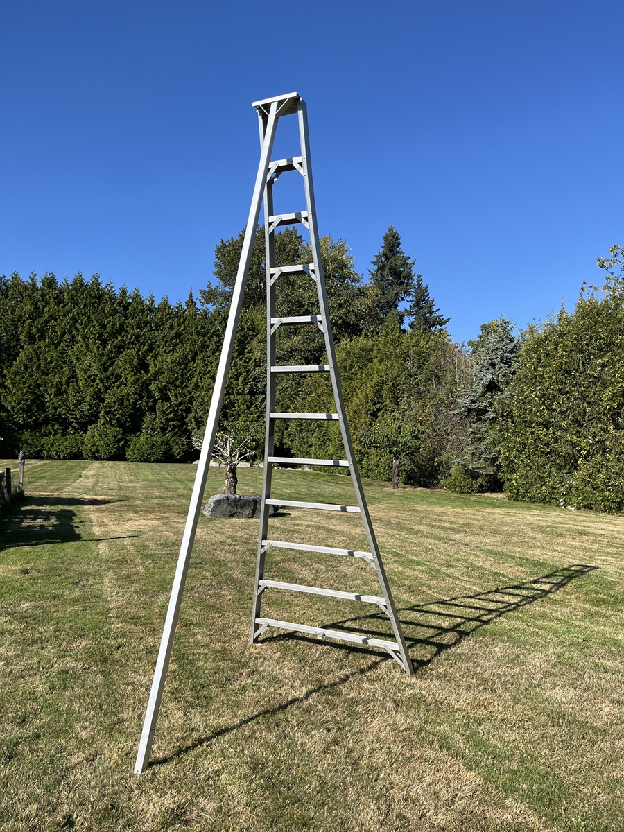 12 foott Tripod Garden Ladder - photo 3