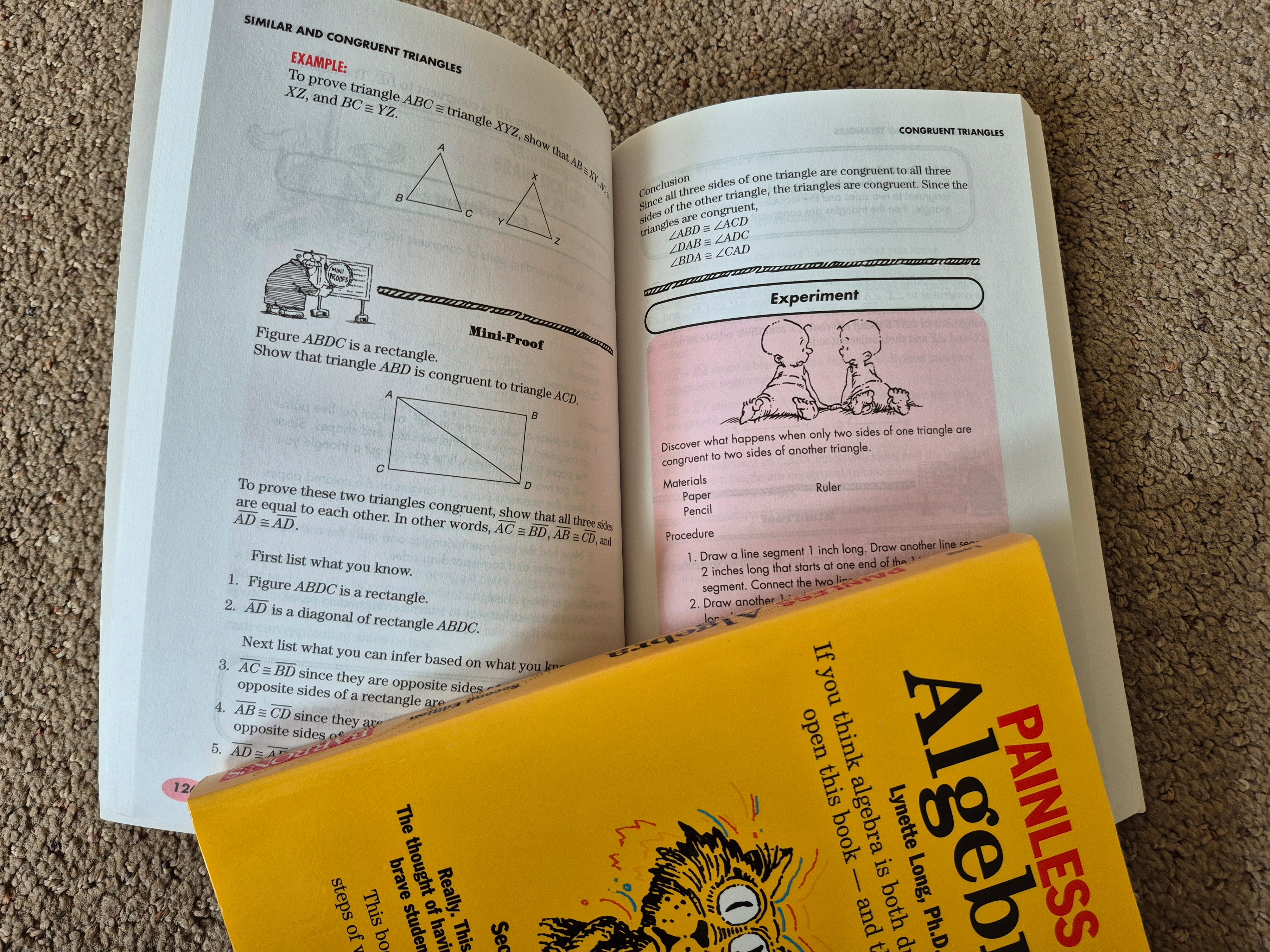 Math - Painless Geometry & Algebra - photo 2