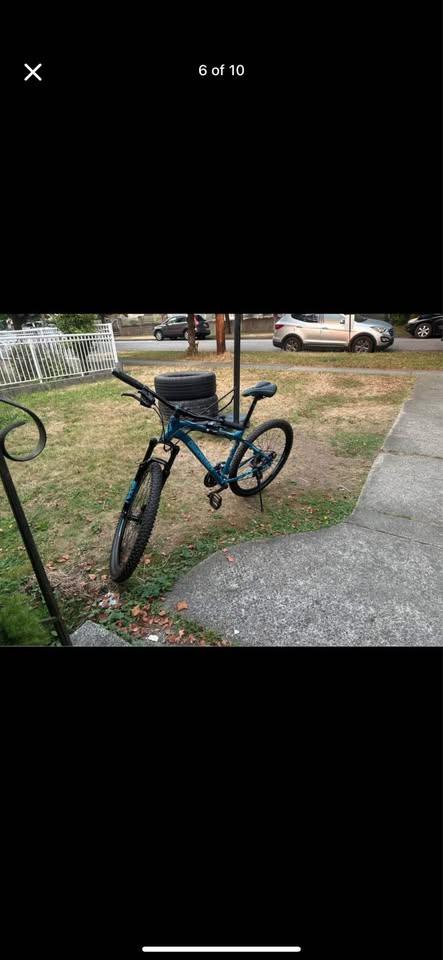 Diamondback Ridgeback - photo 2