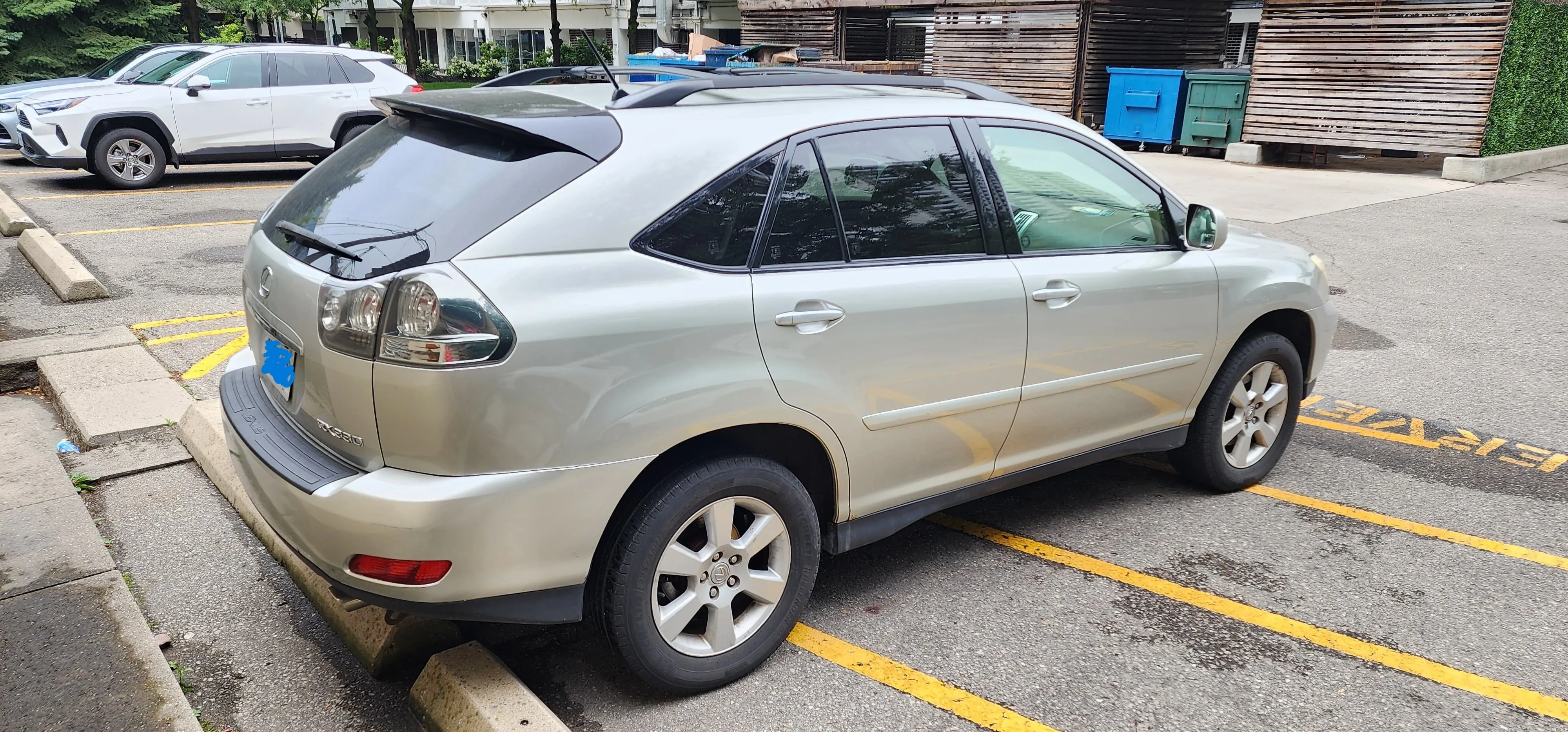 Lexus RX330 : Very well maintained, reliable image indicator(2)