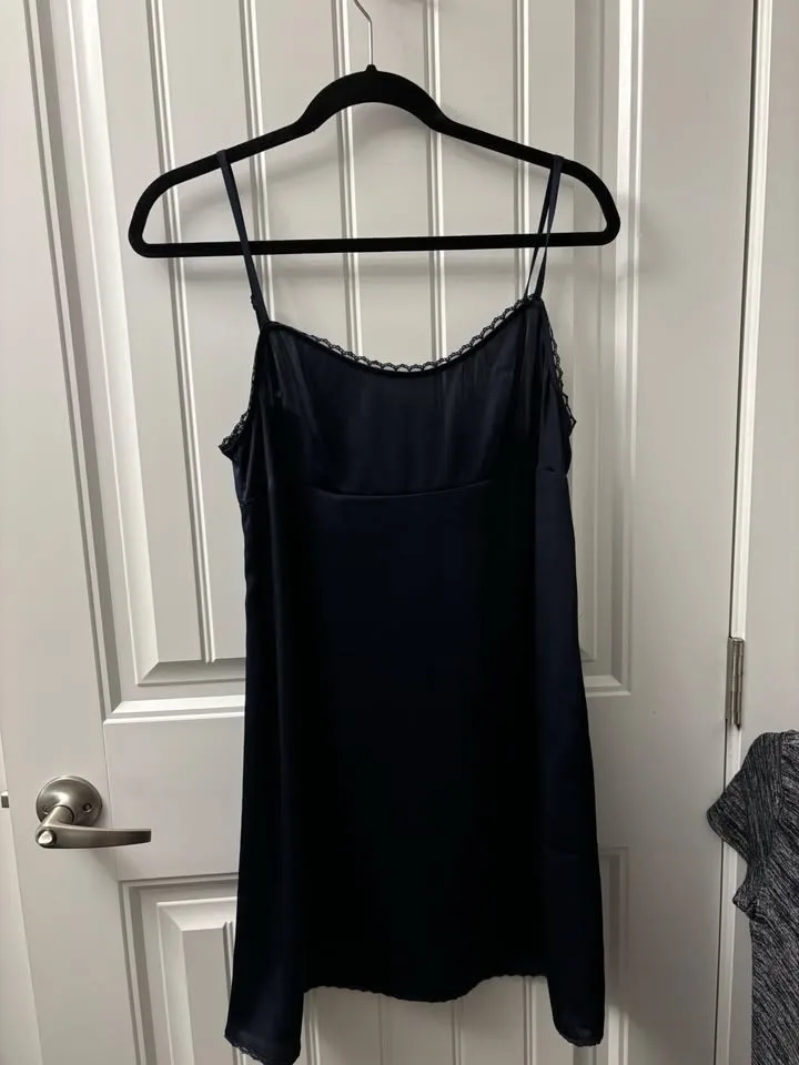Aritzia Silk Blue Dress