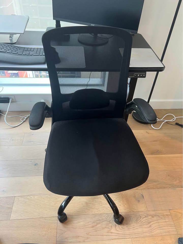 Ergonomic Office Chair