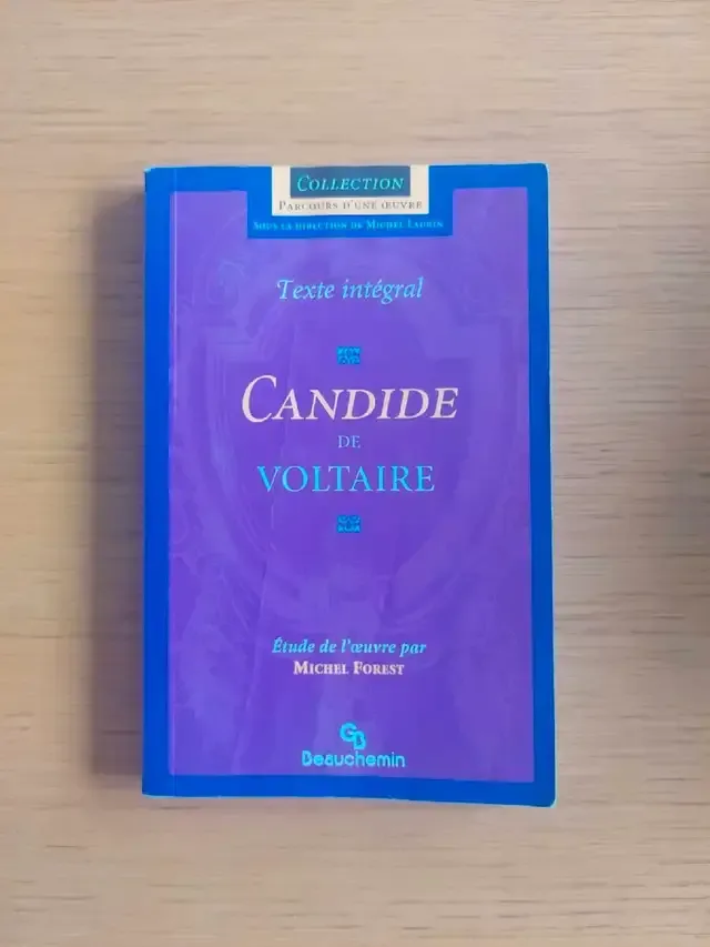 Voltaire Candide thumbnail