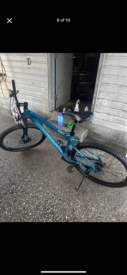 Diamondback Ridgeback