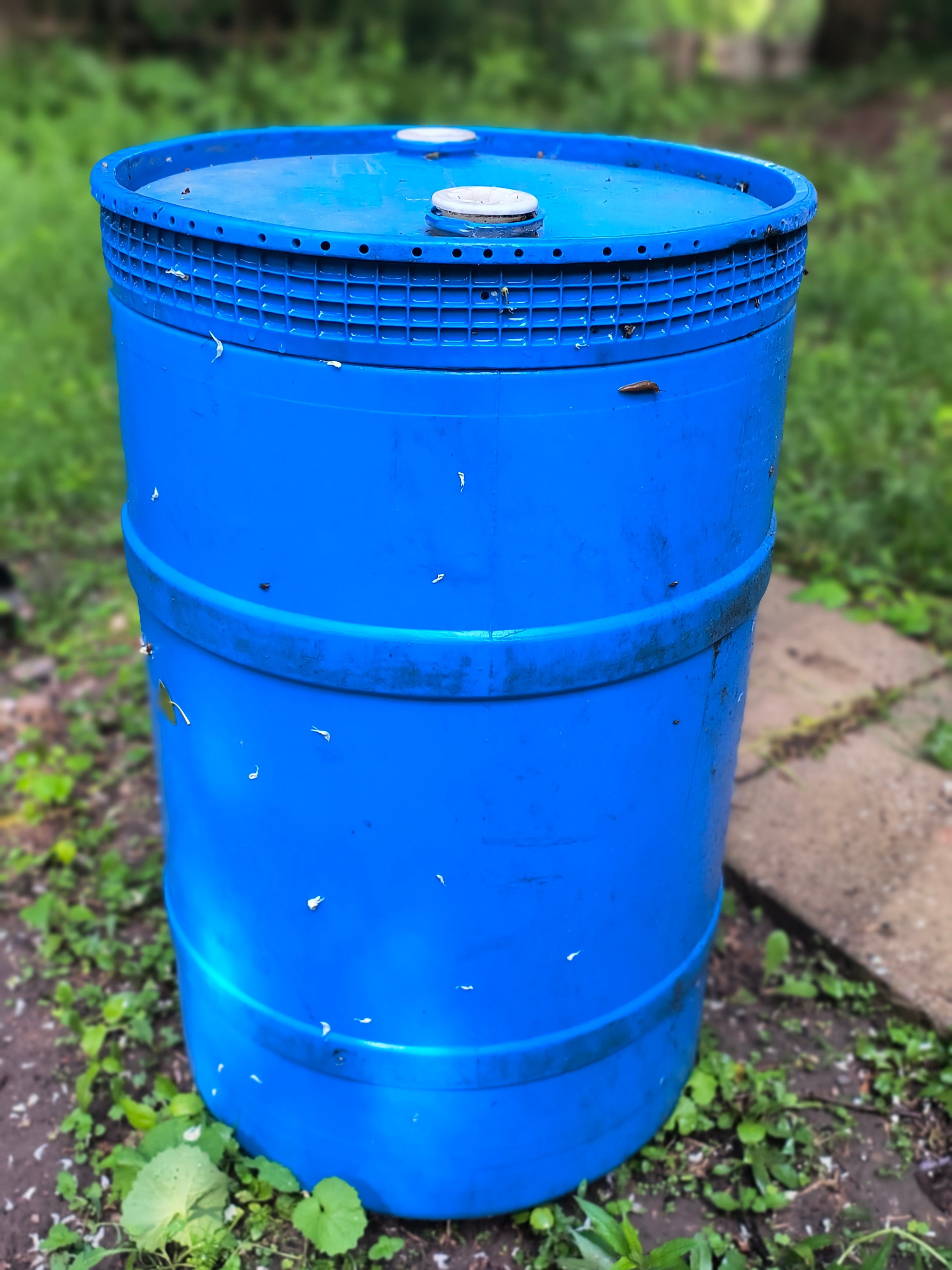 Blue Rain Barrel ...make me an offer