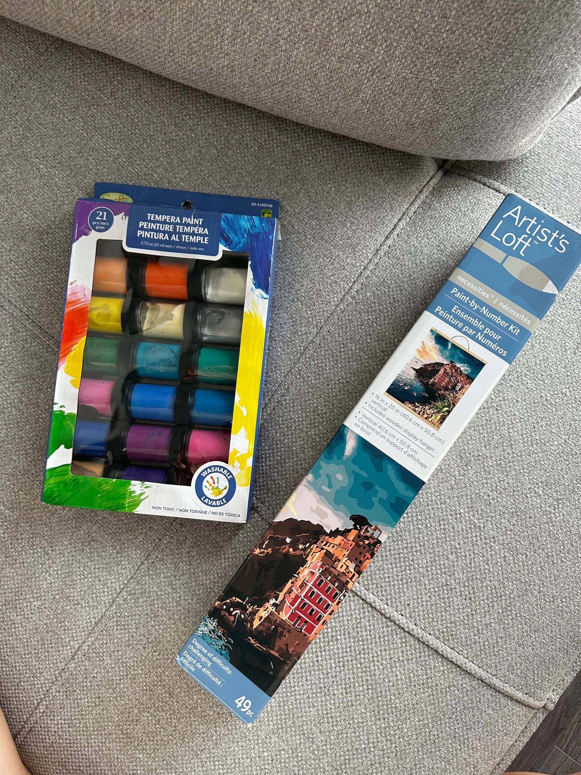 Paint by Numbers Kit – All Included + Free Bonus Paints – $15 image indicator(6)