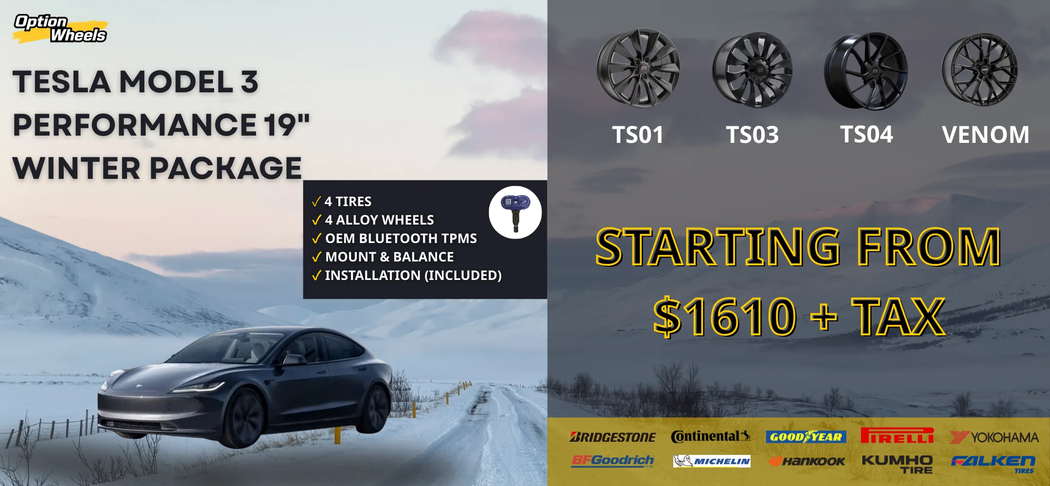 Tesla Model 3 Performance 19" Winter Packages thumbnail