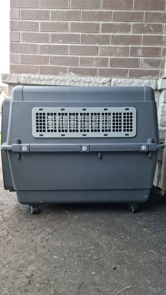 Dog Carrier / Crate image indicator(2)