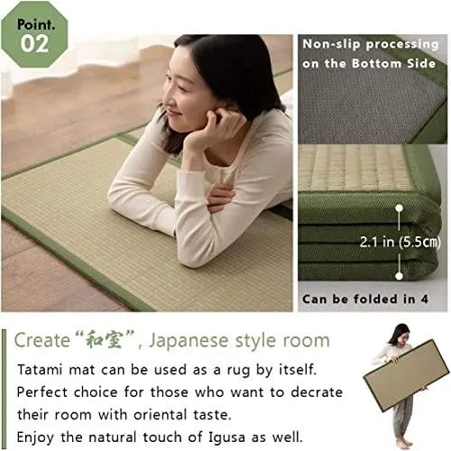 EMOOR Japanese Futon Mattress CLASSE Twin Made in Japan image indicator(6)