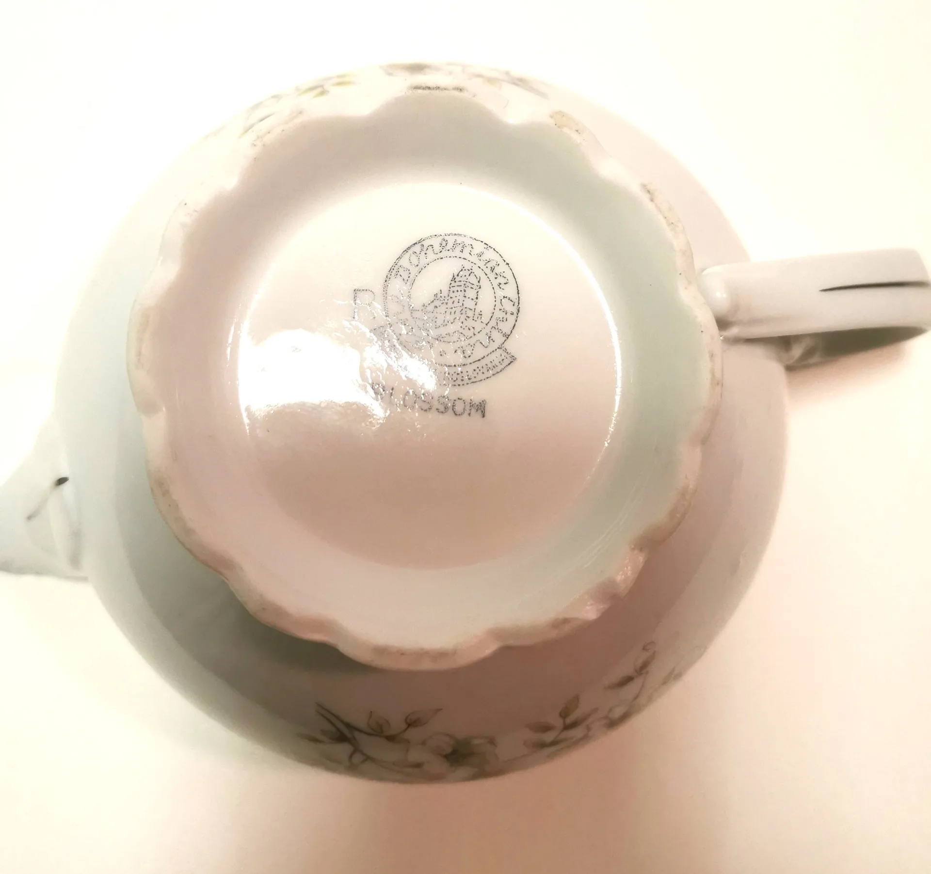 1950s Saucière Botanical Fine Bohemian Bone China Made in Czech image indicator(6)