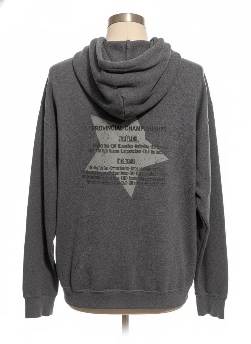 ⚾ Provincial Baseball Hoodie - Gray, Men, Size (L) - Edmonton image indicator(4)