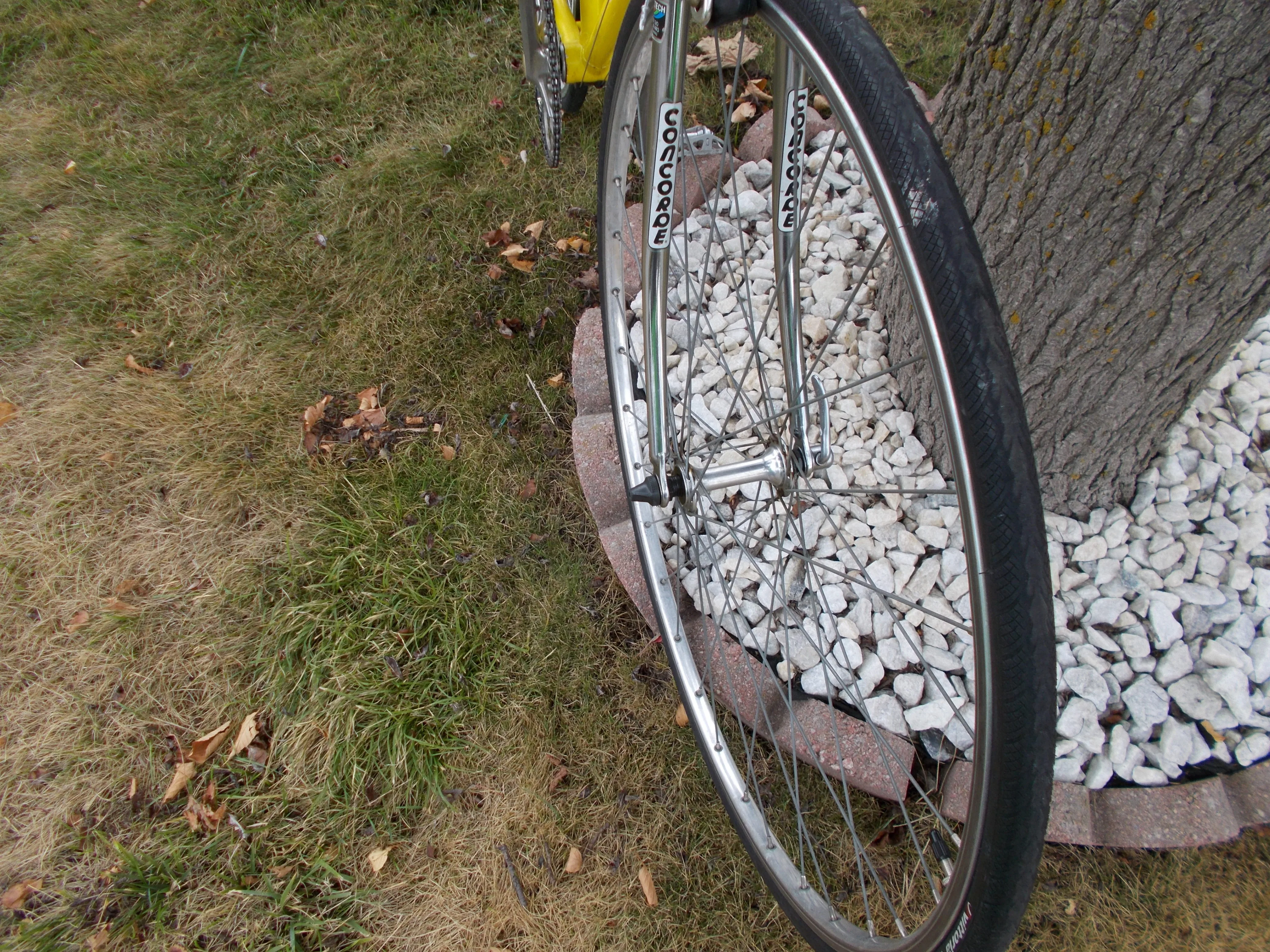 CONCORDE Yard Works road bike EXCELLENT SHAPE,TUNED image indicator(9)