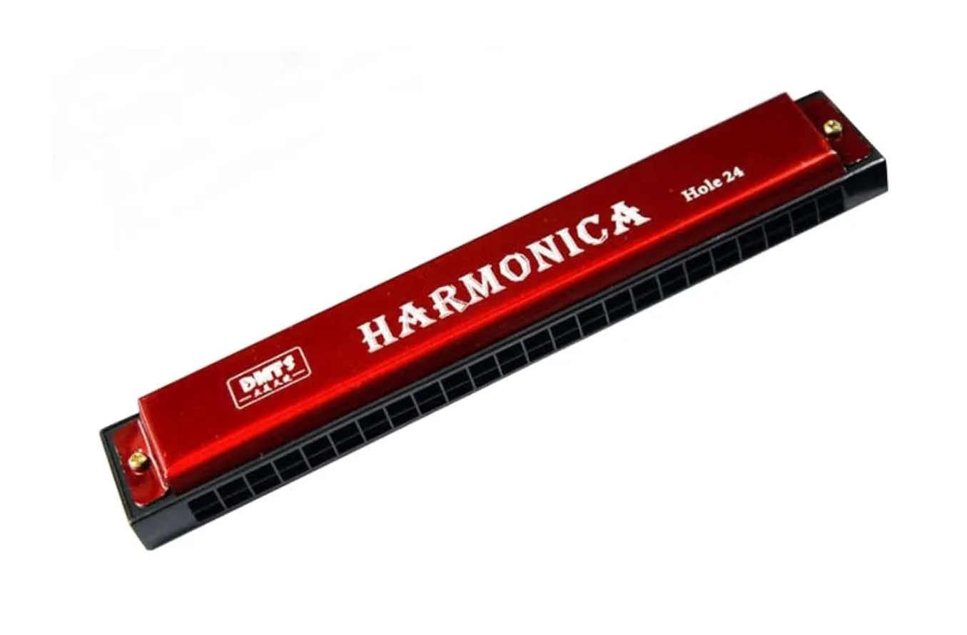 24-Hole Harmonica for Beginners Brand New Black, Red, Blue, Gold image indicator(7)