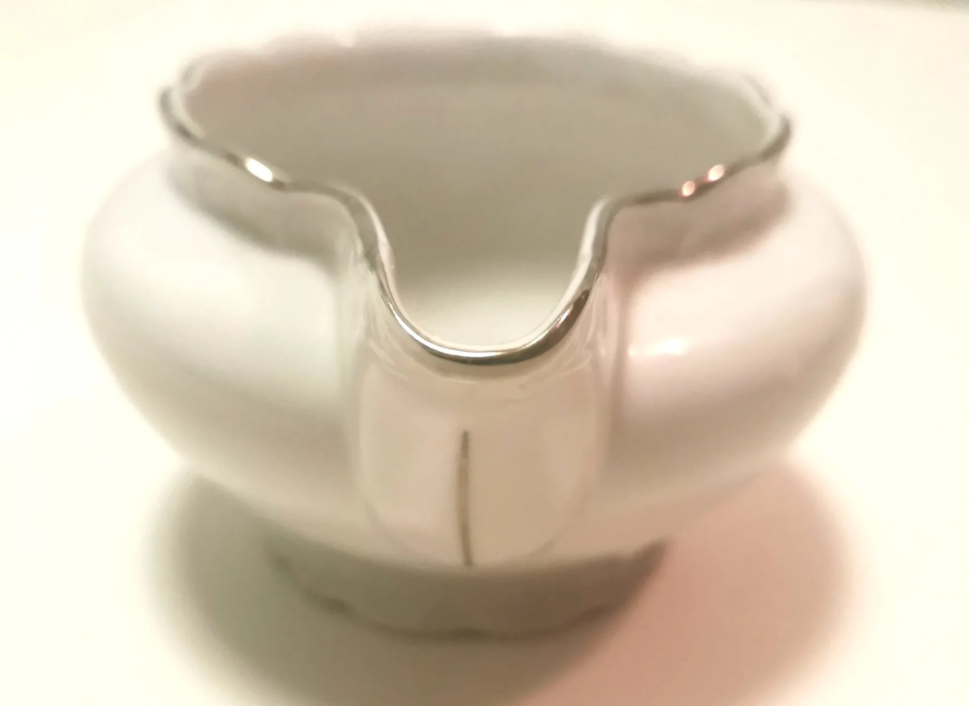 1950s Saucière Botanical Fine Bohemian Bone China Made in Czech image indicator(5)