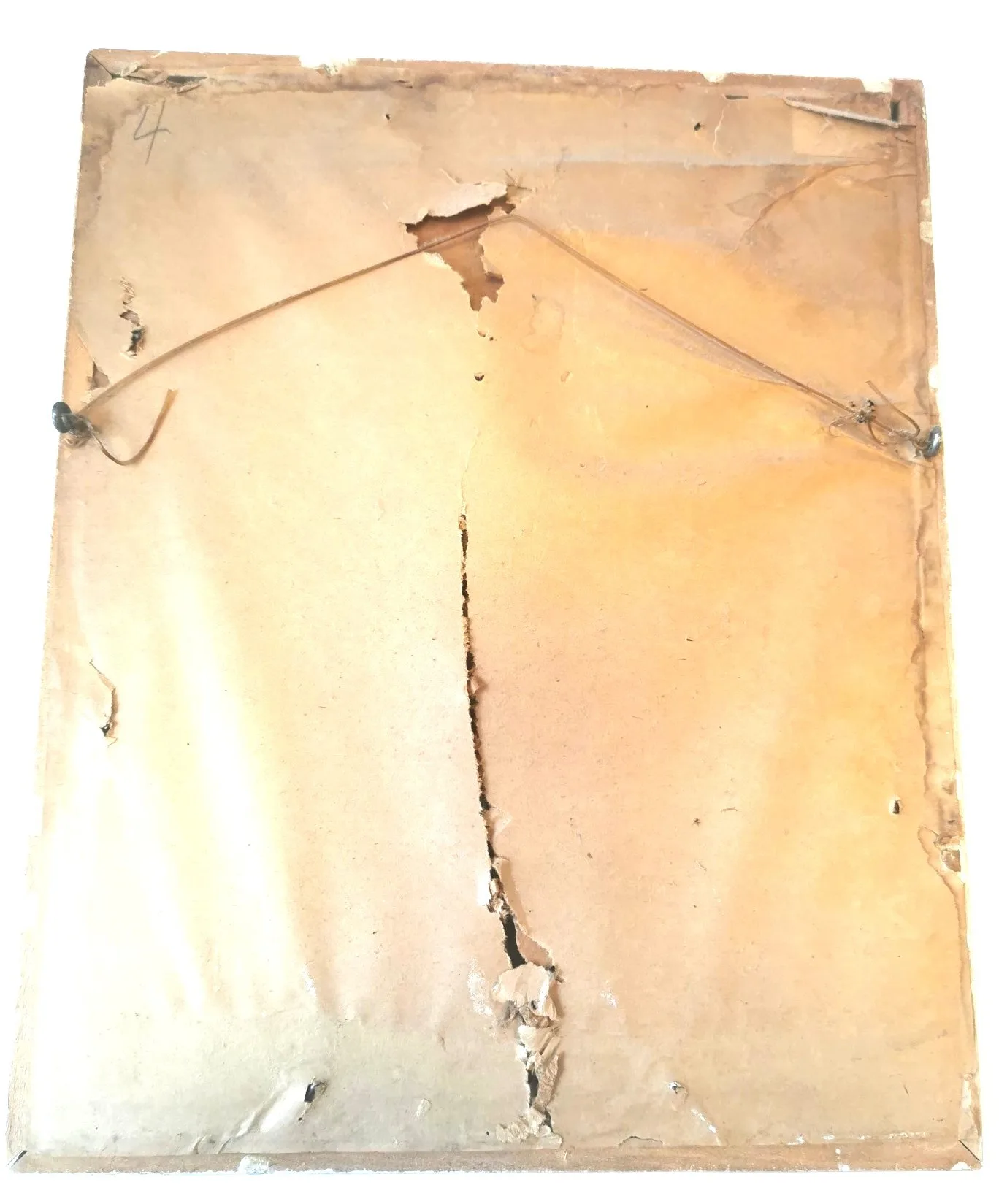 Vintage Botanical Floral Print Tiger Lily White Rose Butterfly image indicator(8)