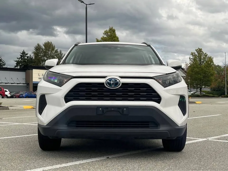 2019 Toyota RAV4 LE Hybrid image indicator(8)