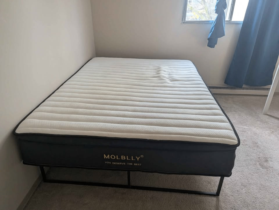 Queen size bed and base - photo 2