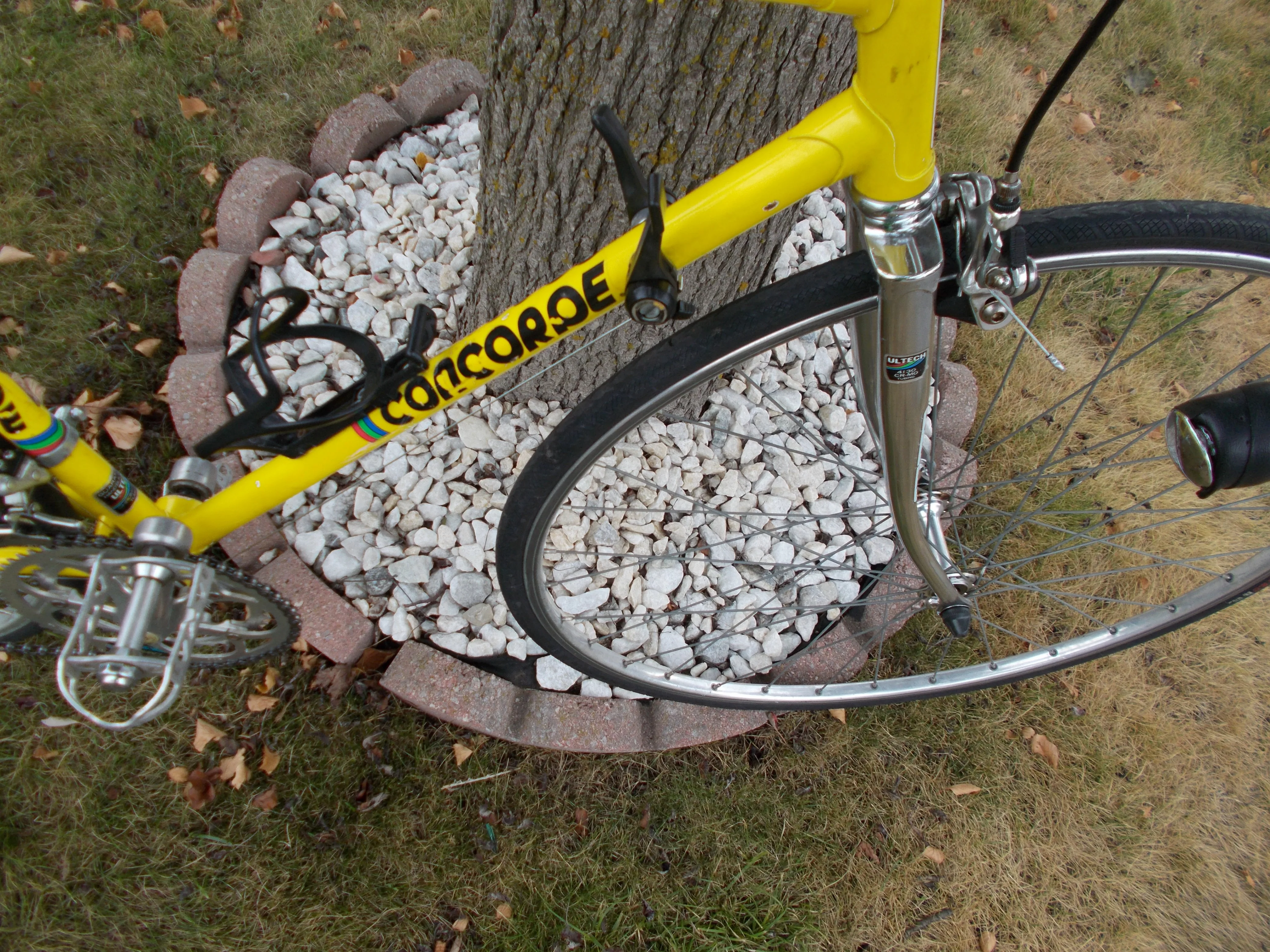 CONCORDE Yard Works road bike EXCELLENT SHAPE,TUNED image indicator(6)